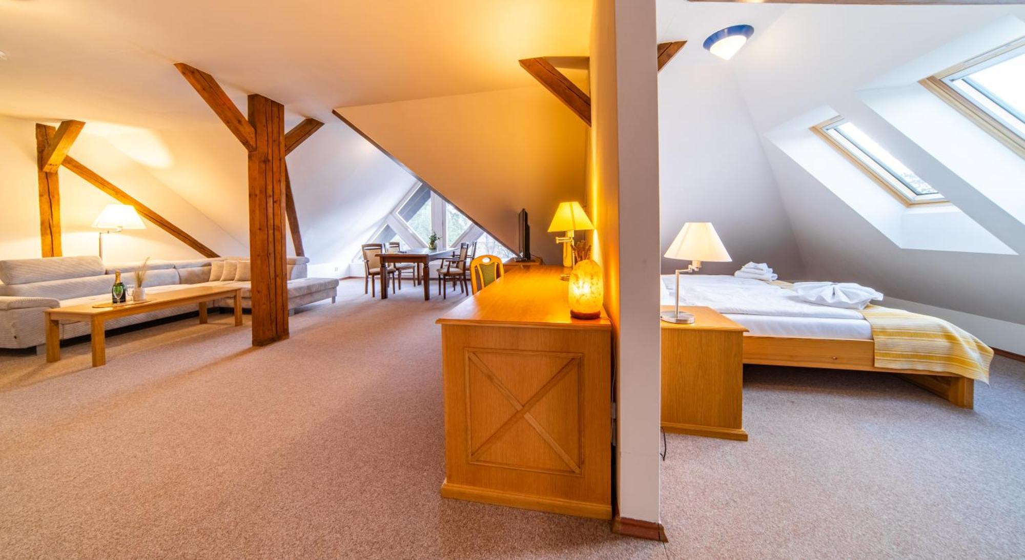 Hotel Sanatorium Mariot Františkovy Lázně 외부 사진